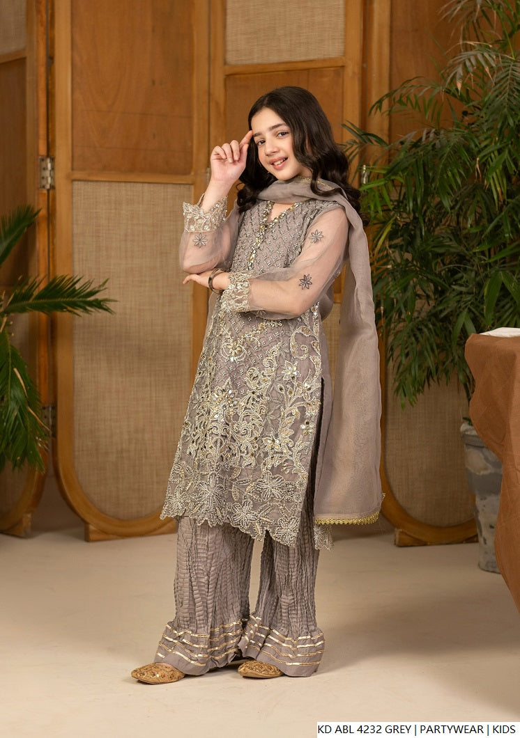 Pakistani girls grey chiffon frock back view