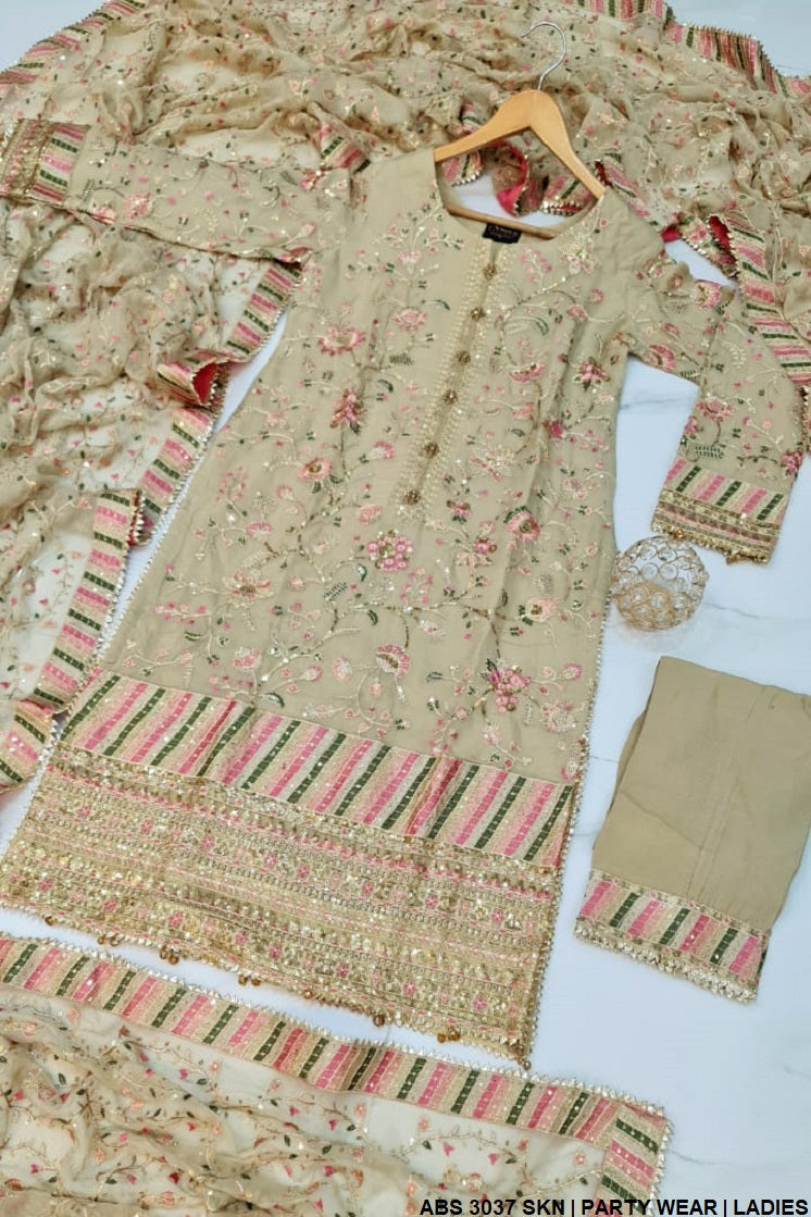 ABS 3037 Pakistani women's chiffon outfit with chiffon dupatta back view