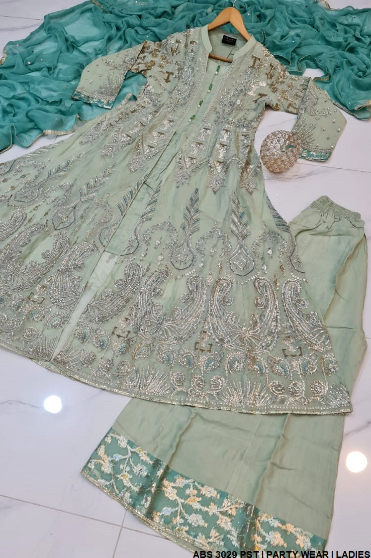 ABS 3029 Pakistani women's chiffon gown full view