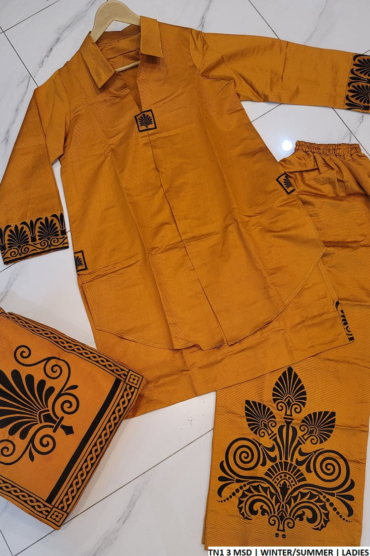 TN1 3 Pakistani women's katan outfit back view