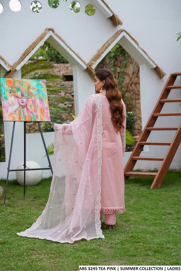 ABS 3245 Cotton Pakistani women's everyday outfit back view
