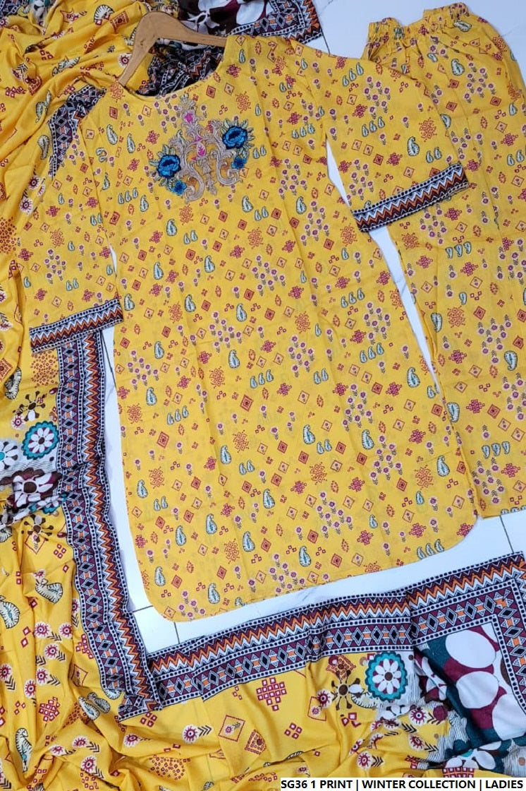Pakistani women's lawn A-Line printed casual outfit back view