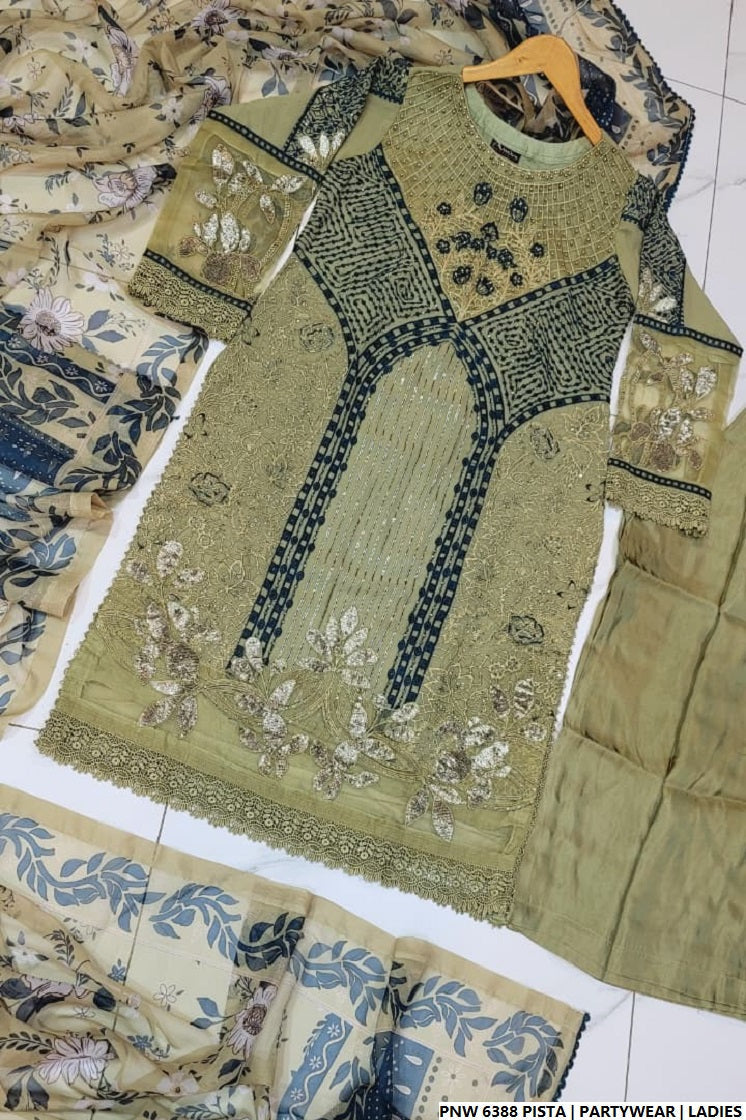 Pakistani women's pista green chiffon straight shirt plazo back view