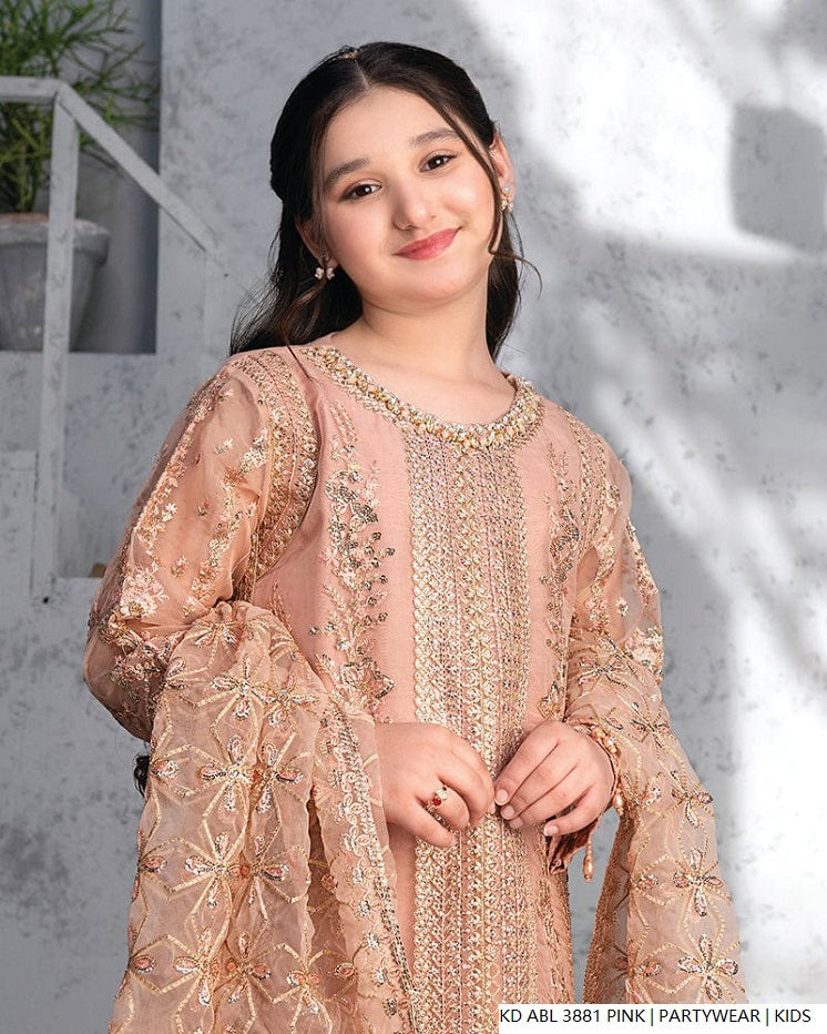 Pink Pakistani girls chiffon frock side view