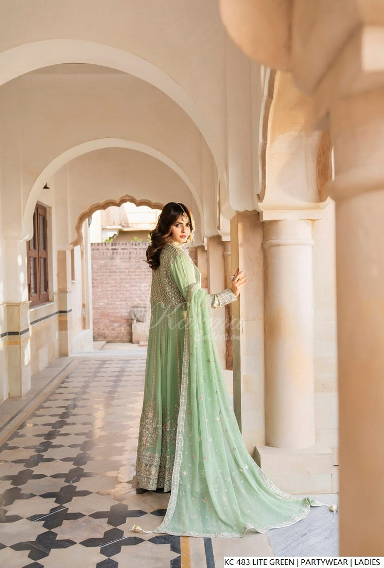 Pakistani women's light green silk long kaftan plazo full view