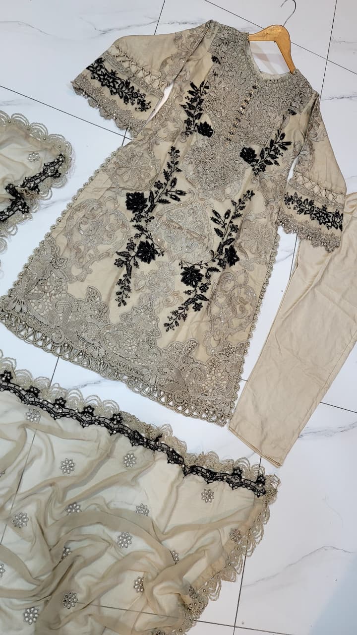 Pakistani women's skin chiffon straight shirt back view