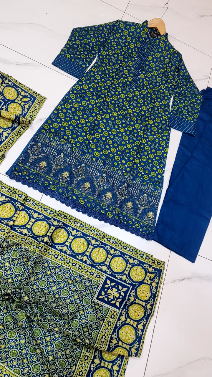Pakistani women's lawn A-Line printed casual outfit back view