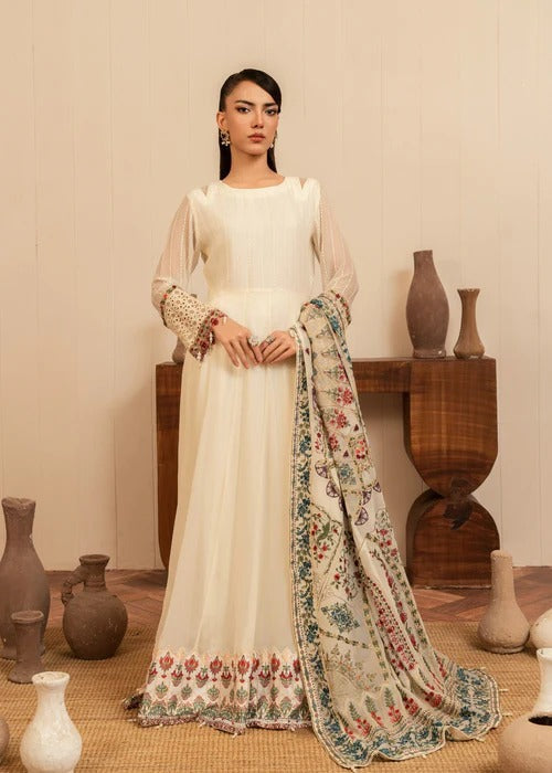 ABL 3885 Pakistani women's chiffon long frock full view