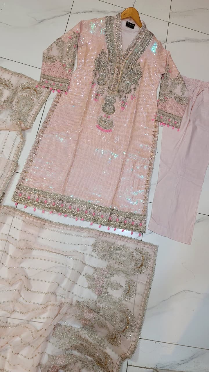 Pakistani women's pink soft net A-Line shirt plazo back view