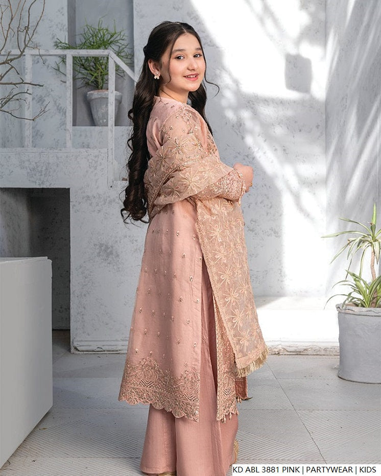 Pakistani girls pink chiffon frock back view