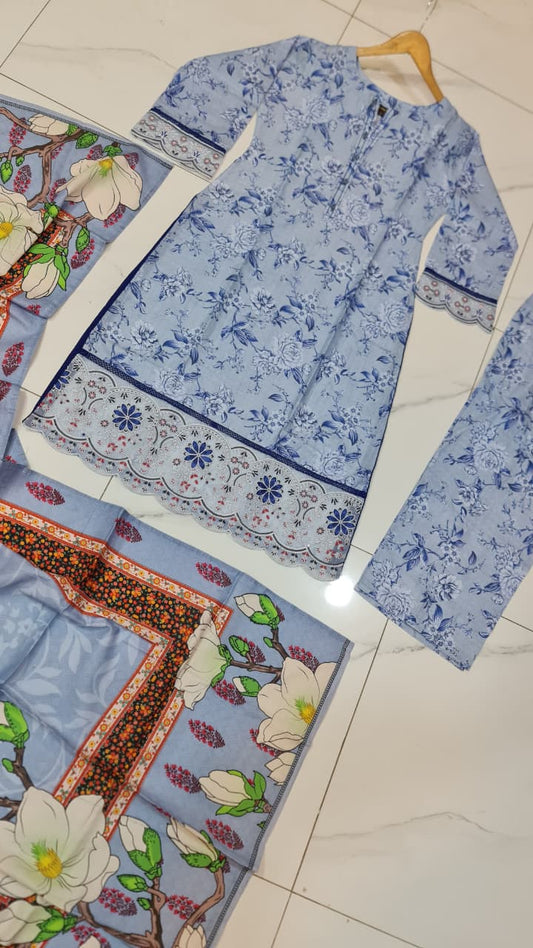 Pakistani women's lawn A-Line printed casual outfit back view