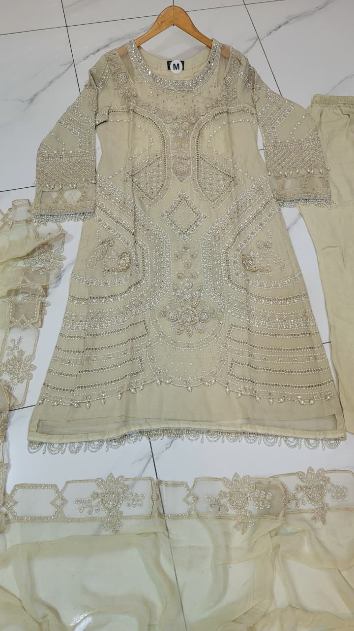 Pakistani women's fawn chiffon straight shirt back view