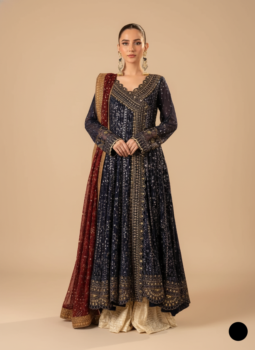 ABL 3860 Pakistani women's chiffon angrakha frock back view