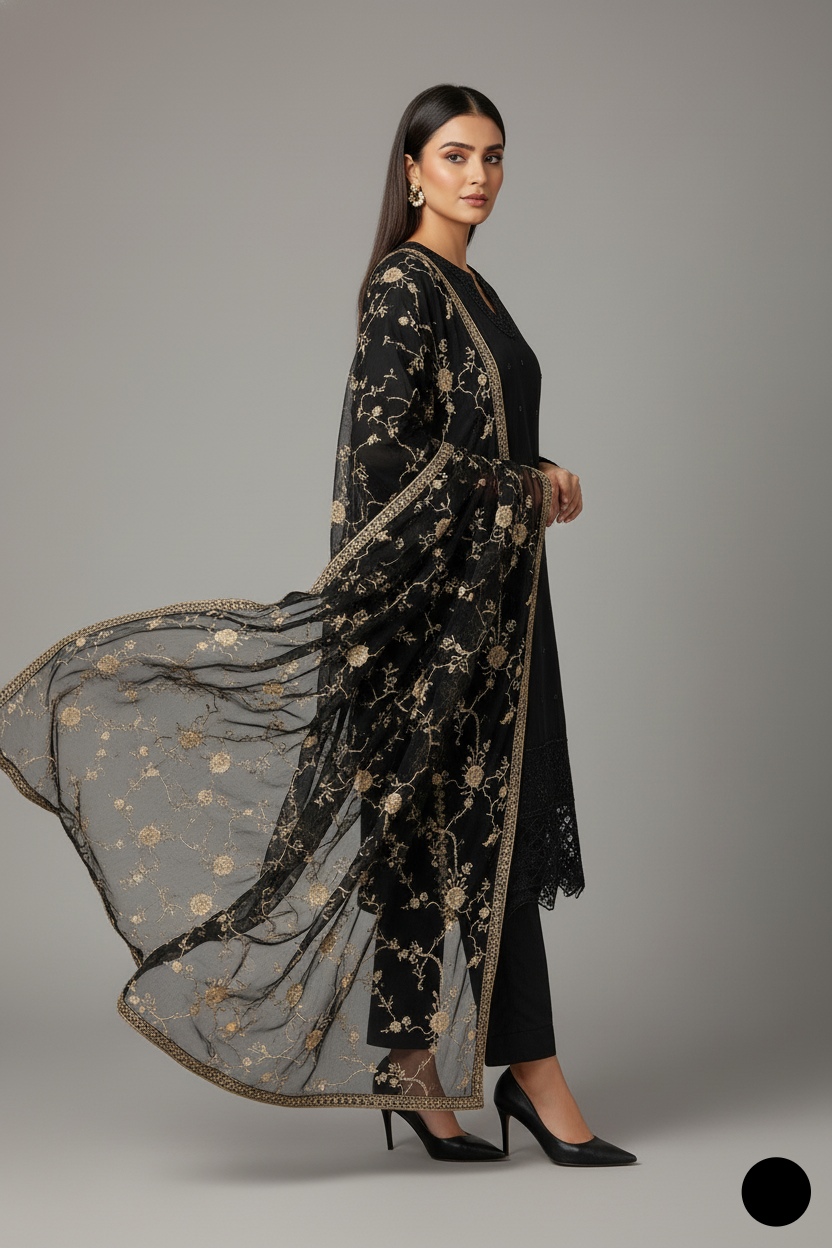PNW 6342 Pakistani women's chiffon A-Line shirt detail view