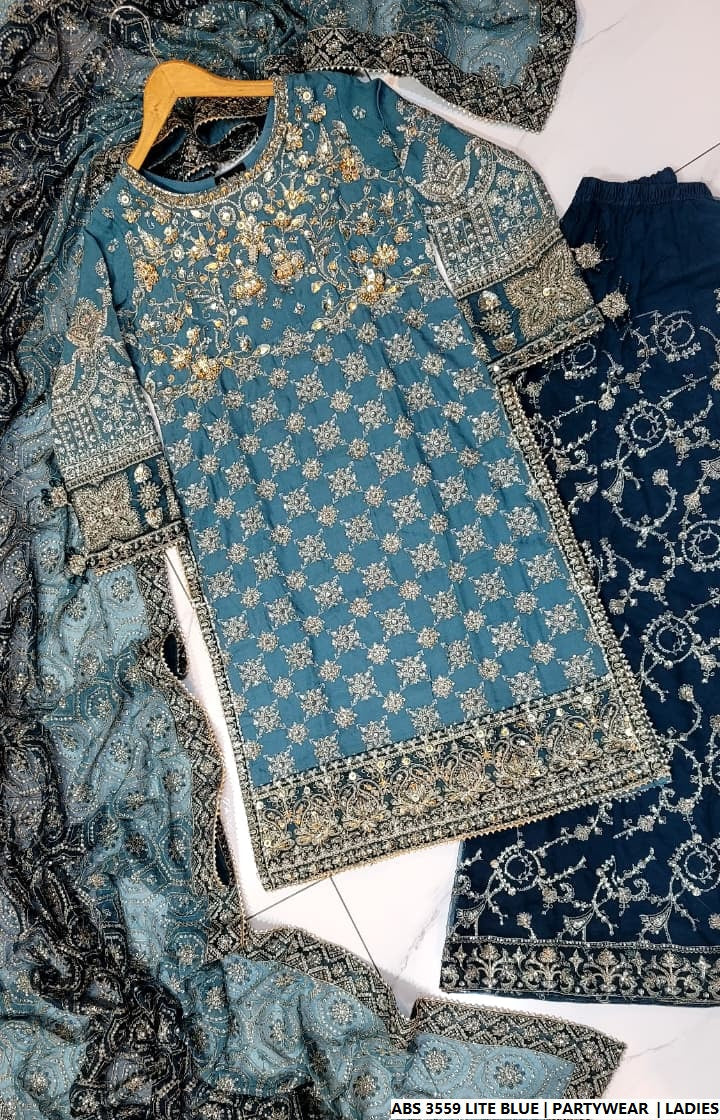 Pakistani women's light blue organza straight shirt back view