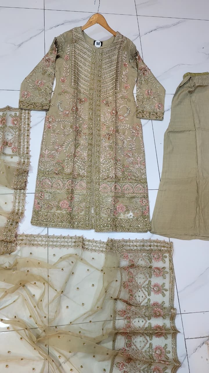 Pakistani women's skin organza straight shirt plazo full view