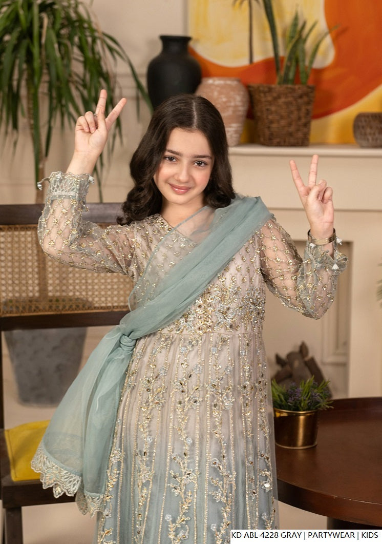 Pakistani girls gray chiffon frock detail view