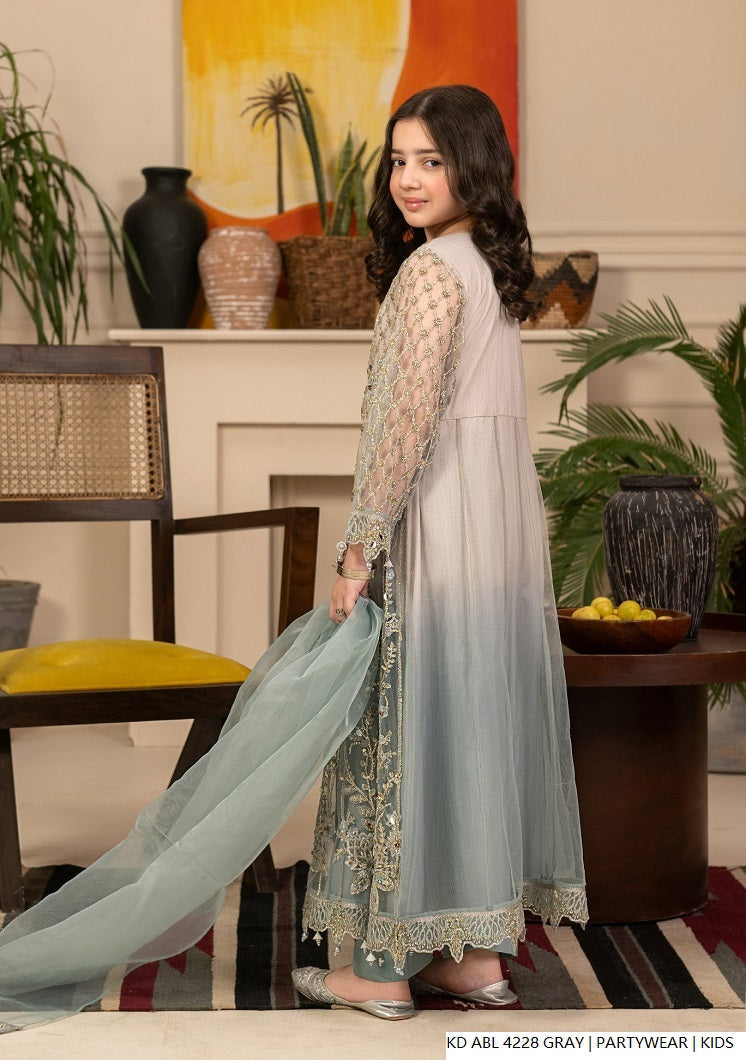 Pakistani girls gray chiffon frock back view