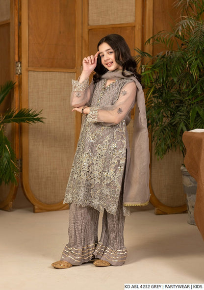 Pakistani girls grey chiffon frock back view