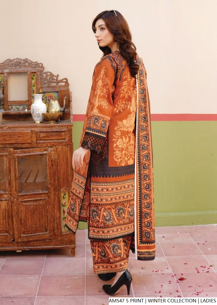 Pakistani women's lawn A-Line printed casual outfit back view