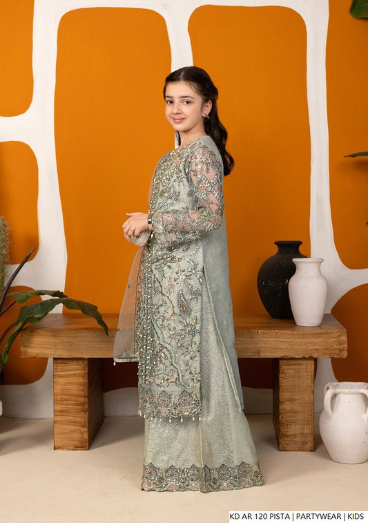 Aqua Pakistani girls organza frock side view