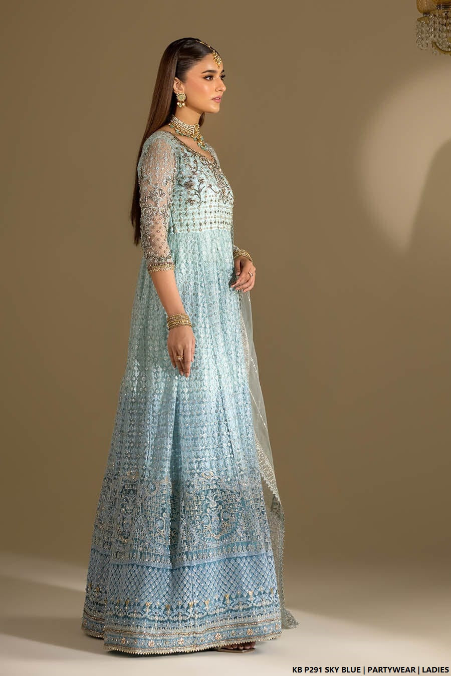 Pakistani women's sky blue velvet embroidered suit full view