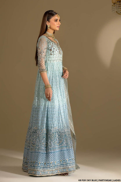 Pakistani women's sky blue velvet embroidered suit full view