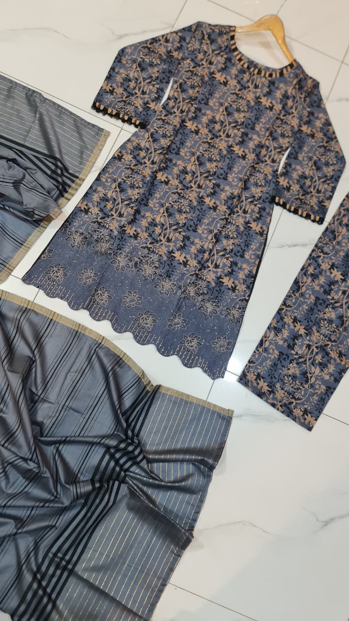 Pakistani women's lawn A-Line printed casual outfit back view