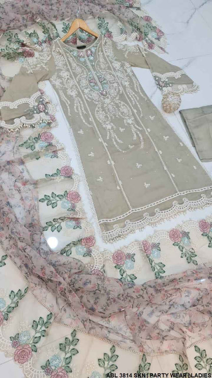 Pakistani women's skin chiffon A-Line shirt full view