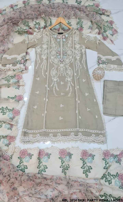 Pakistani women's skin chiffon A-Line shirt back view