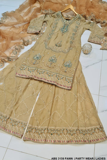 ABS 3159 Pakistani women's chiffon plazo outfit detail view