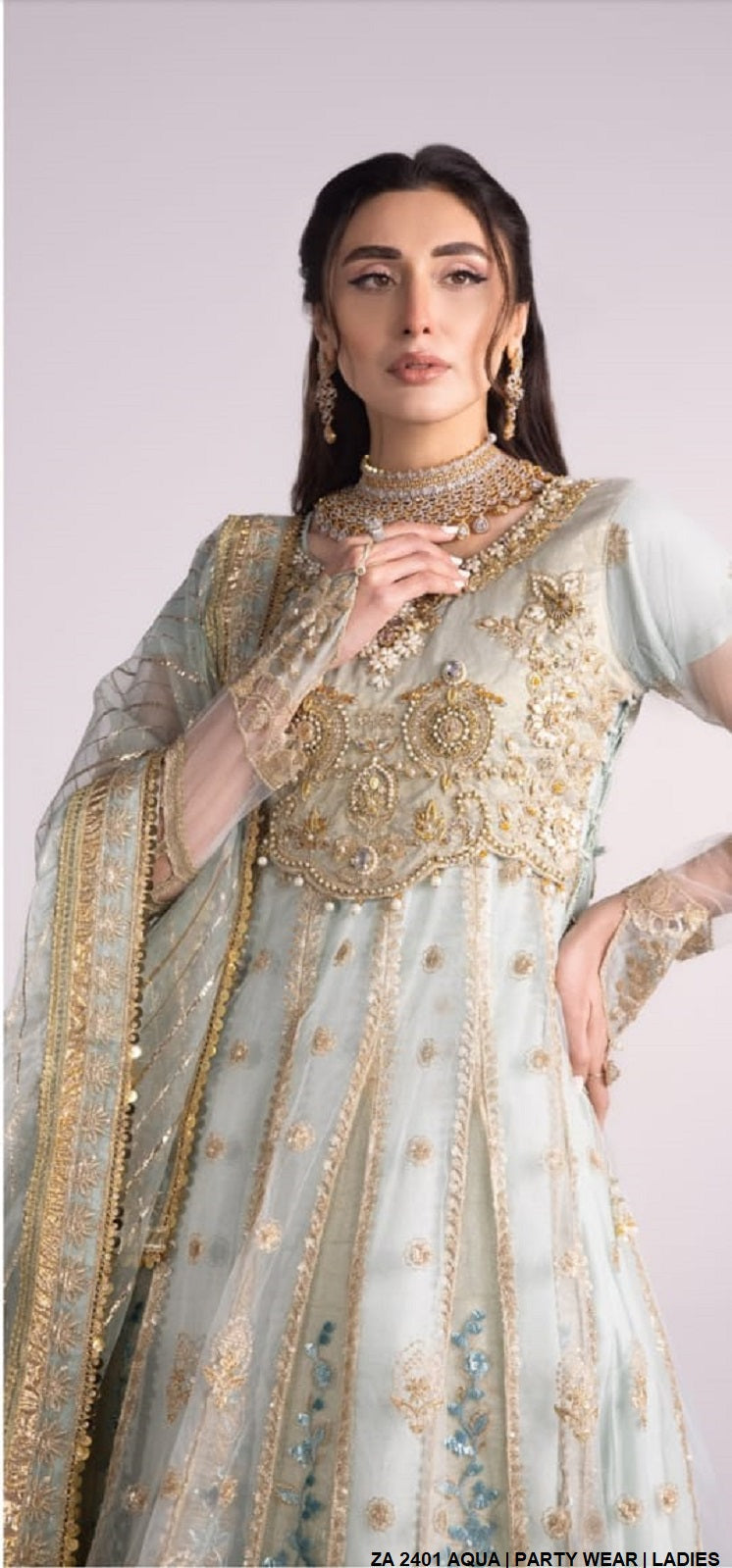 ZA 2401 Pakistani women's net long maxi with masuri dupatta back view
