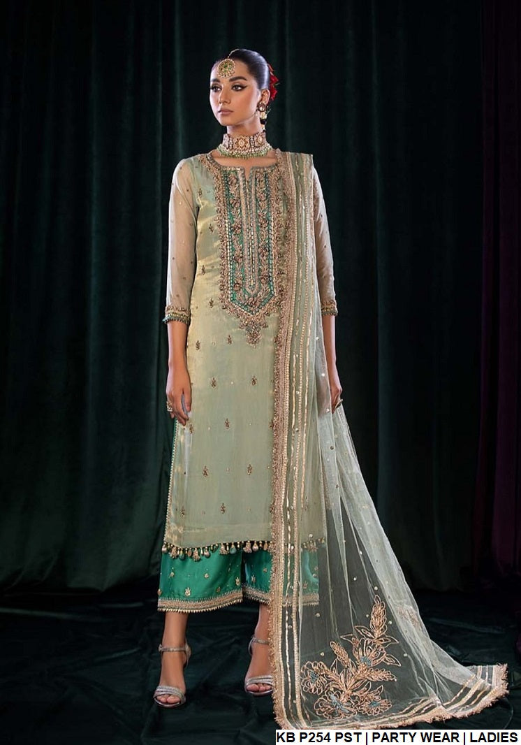 KB P254 Pakistani women's masuri net dupatta formal wear full view