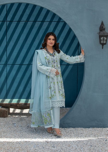 Cotton straight shirt HC625 2 - Pakistani women's casual outfit with khadi net dupatta front view