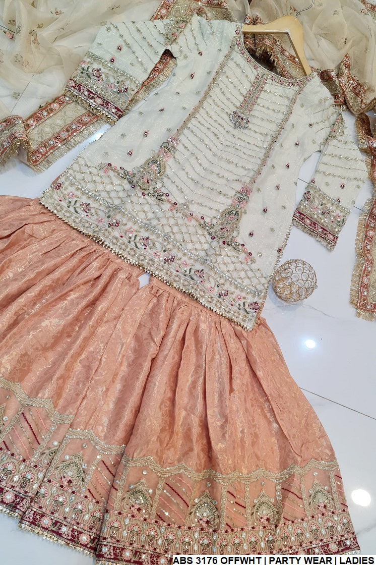 ABS 3176 Pakistani women's organza shirt gharara back view