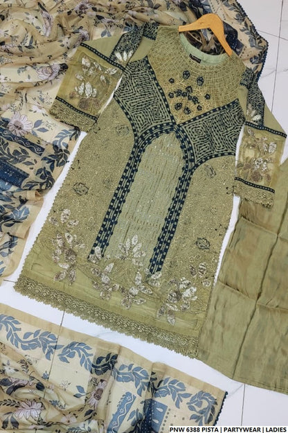 Pakistani women's pista green chiffon straight shirt plazo back view