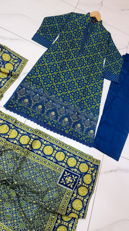 Pakistani women's lawn A-Line printed casual outfit back view