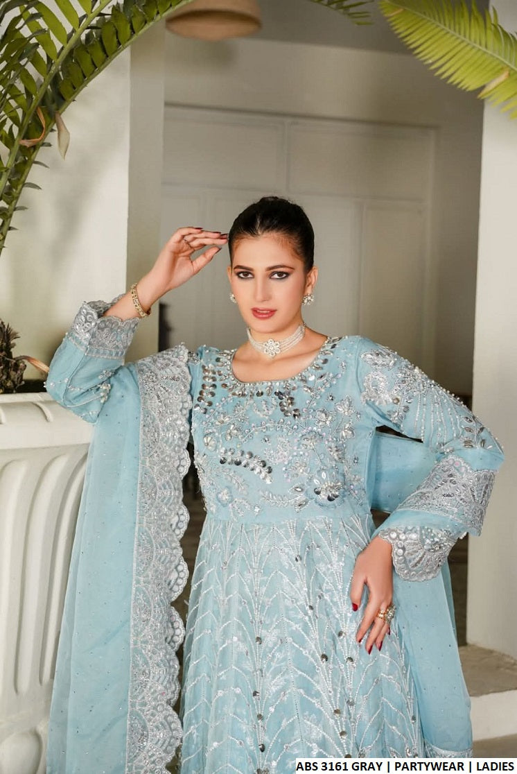 ABS 3161 Pakistani women's organza frock with organza dupatta detail view