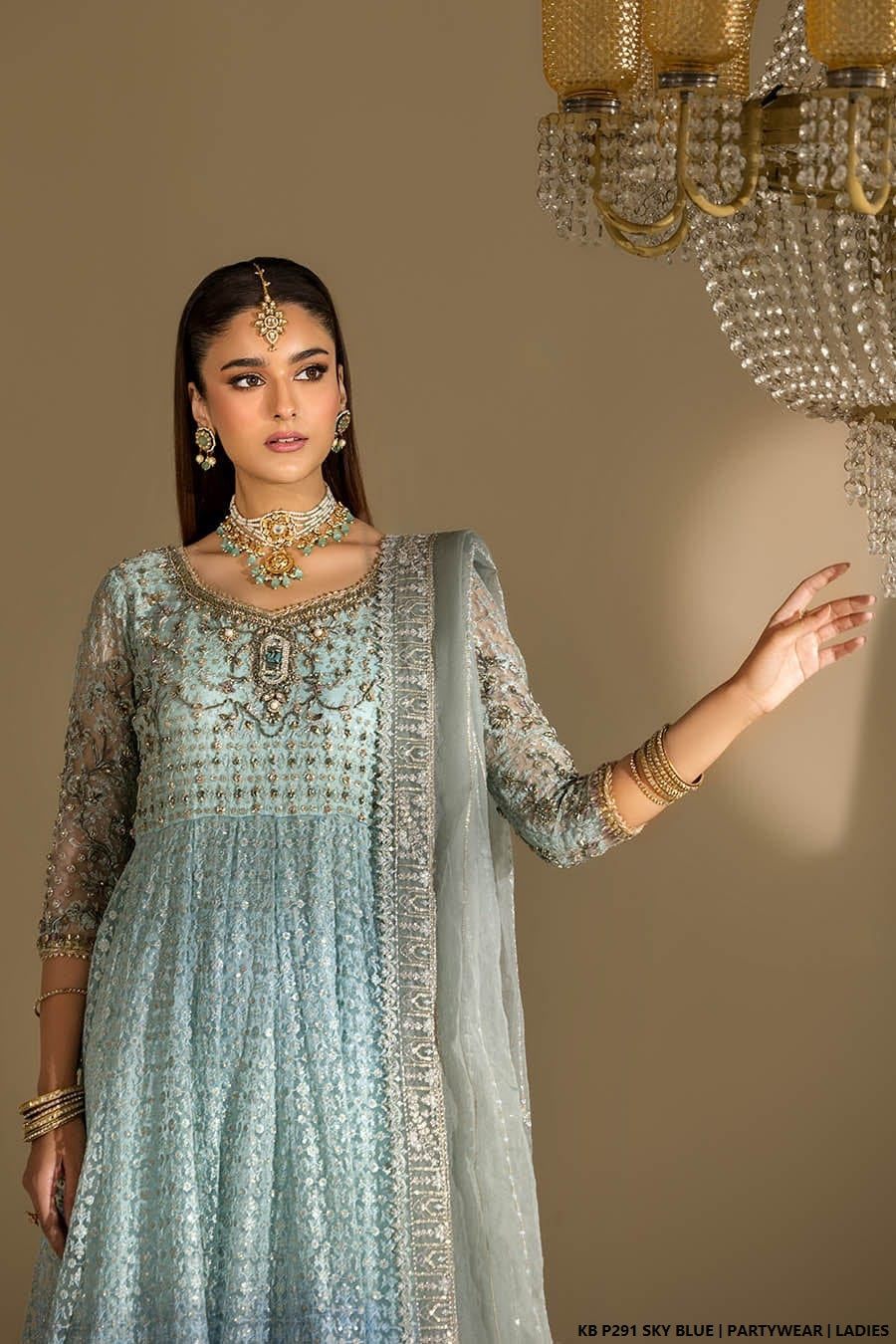 Pakistani women's sky blue velvet embroidered suit back view
