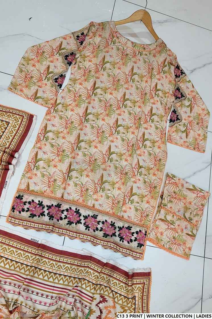C13 3 PRINT