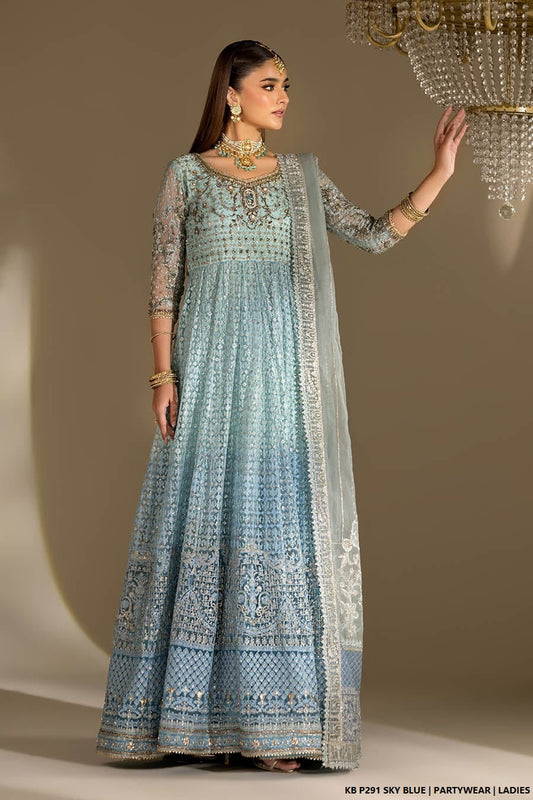 Sky blue velvet Pakistani women's embroidered suit side view