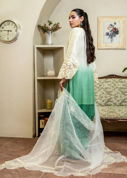 Pakistani women's off white chiffon straight shirt plazo back view