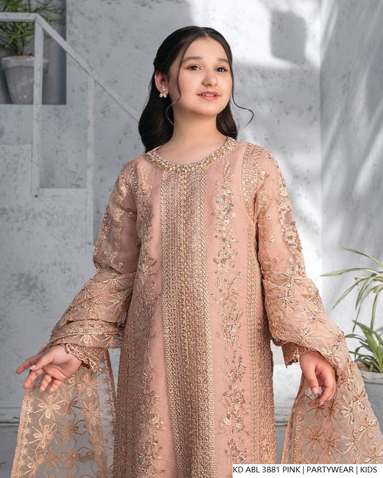 Pakistani girls pink chiffon frock detail view