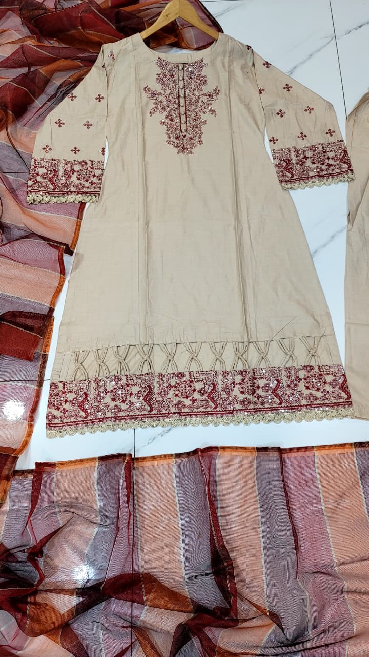 Pakistani women's skin lawn A-Line casual shirt full view