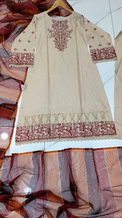 Pakistani women's skin lawn A-Line casual shirt full view