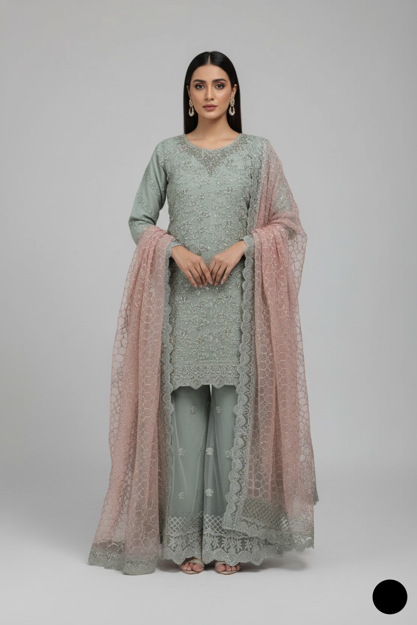 Organza straight shirt plazo ABS 3172 - Pakistani women's elegant formal wear with organza dupatta front view