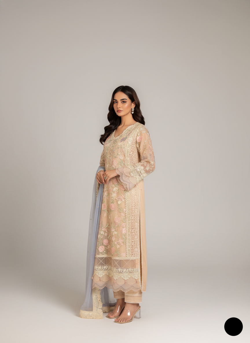 ABL 3985 Pakistani women's organza A-Line with dupatta detail view