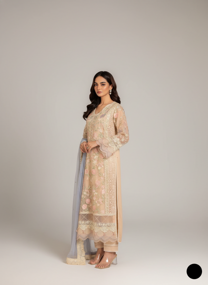 ABL 3985 Pakistani women's organza A-Line with dupatta detail view