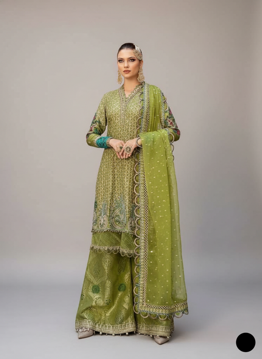 Chiffon straight shirt plazo ABL 4118 MDI - Pakistani women's formal wear with zari organza dupatta front view