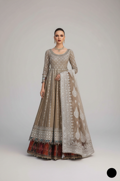 Net Long Frock with Lehenga ABL 4120 SKN - Pakistani women's wedding party wear front view